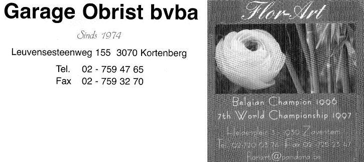 logosb.jpg